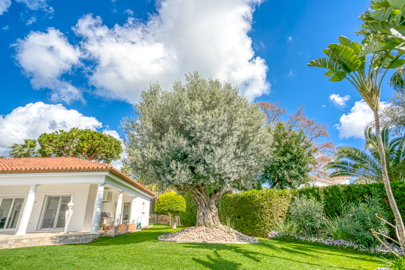 5308MLV Low Res (75)