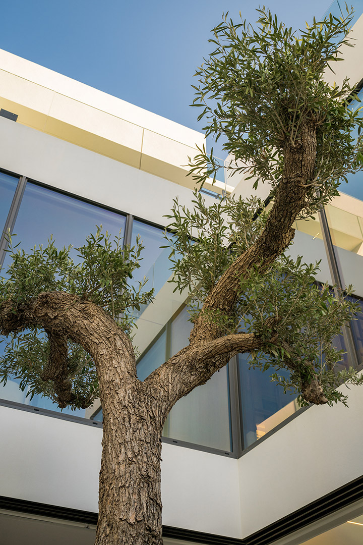 Dallimore Vilas12 Casa 8 WEB-52