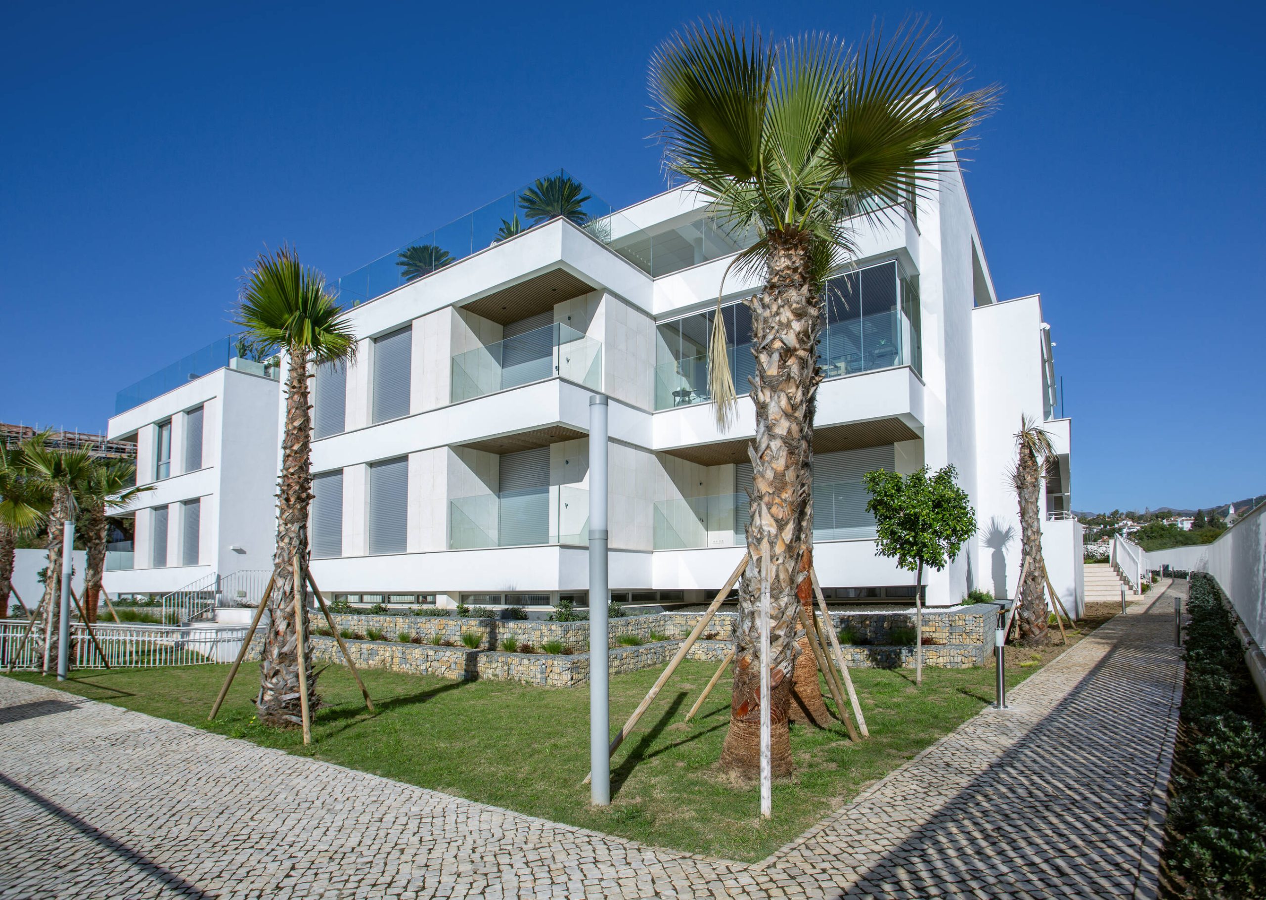 G.Edw - Estrella - 6035