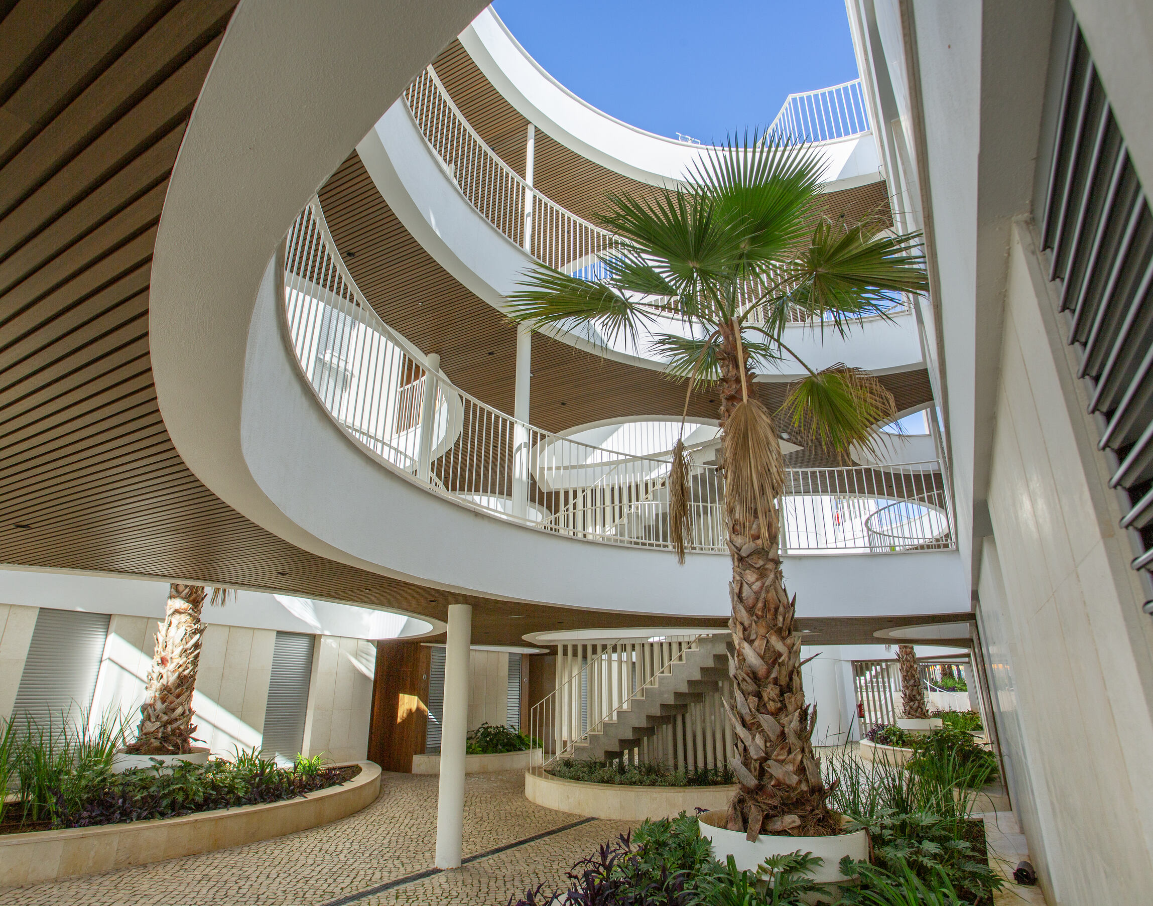 G.Edw - Estrella - 6048