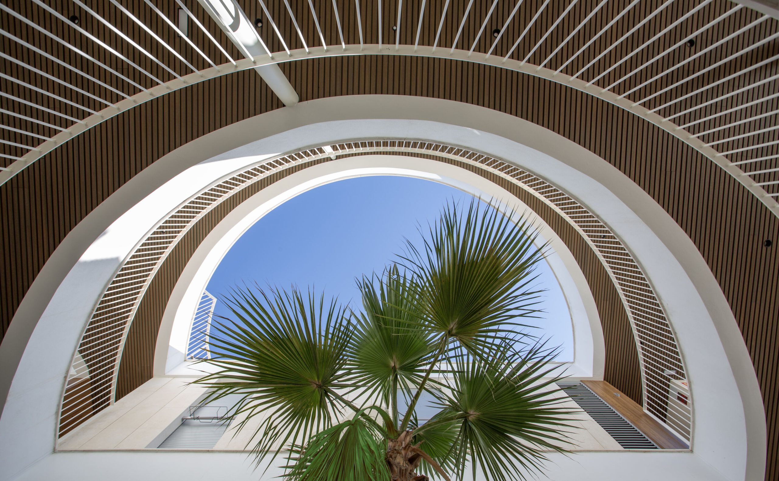 G.Edw - Estrella - 6062